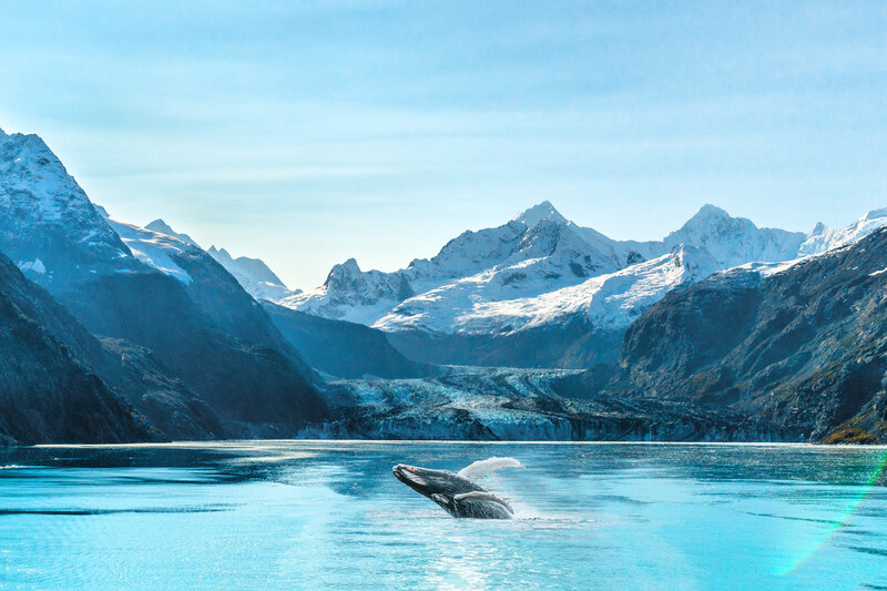 Rockies Icons and Alaska Cruise